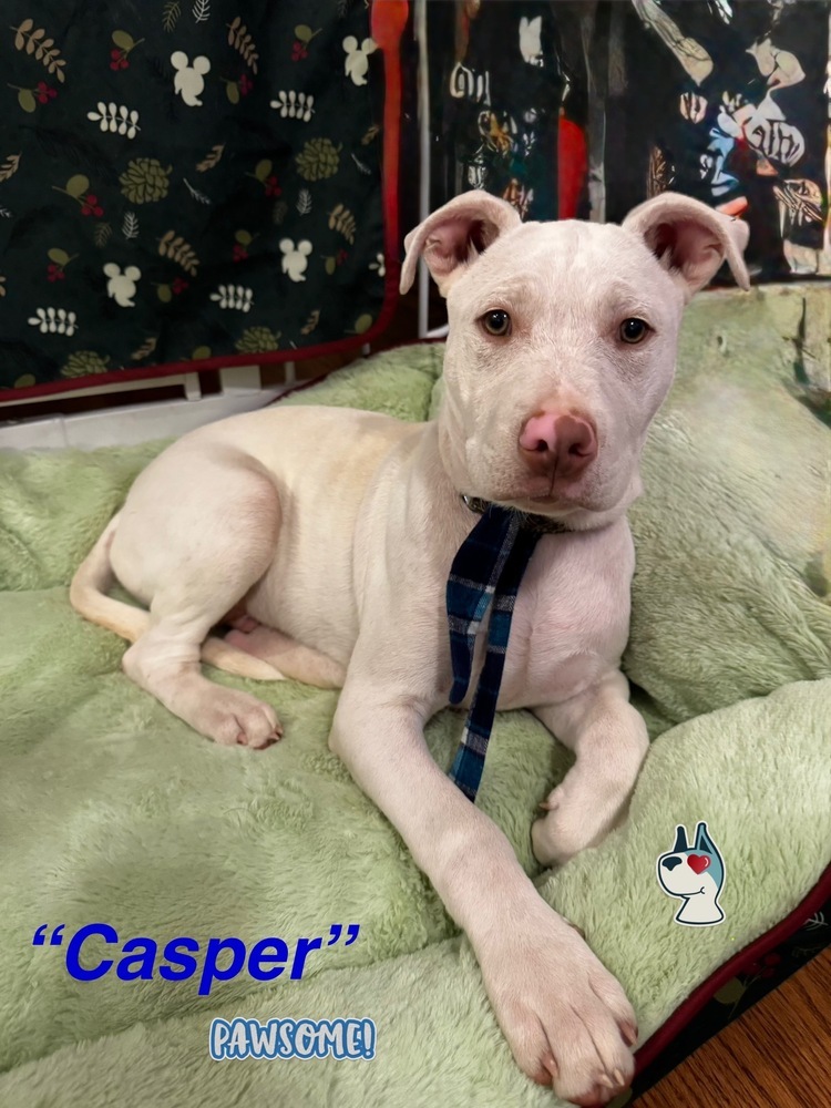Casper