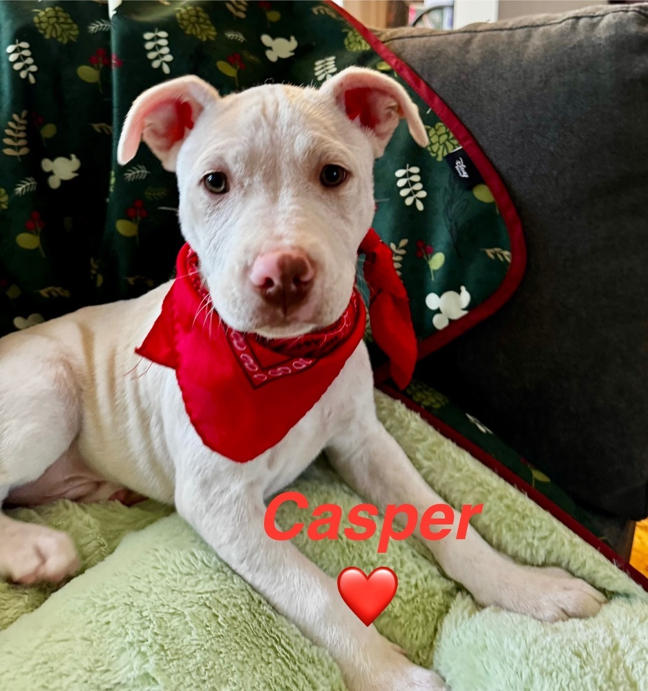 Casper