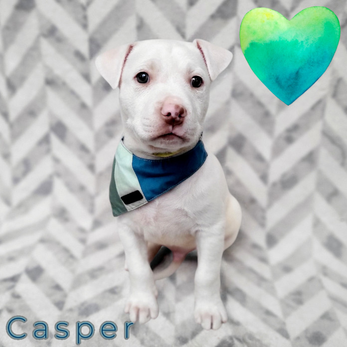 Casper