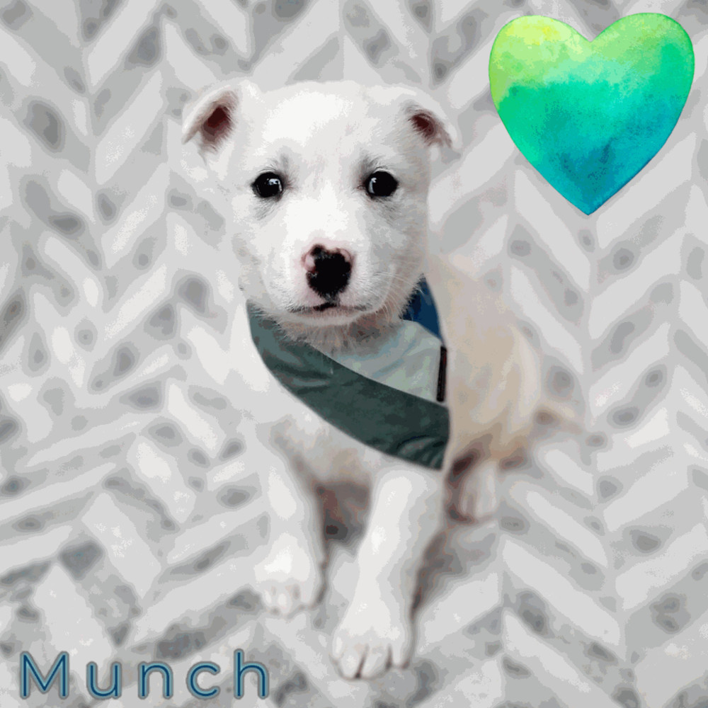 Munch