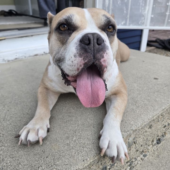 Phoebe 1