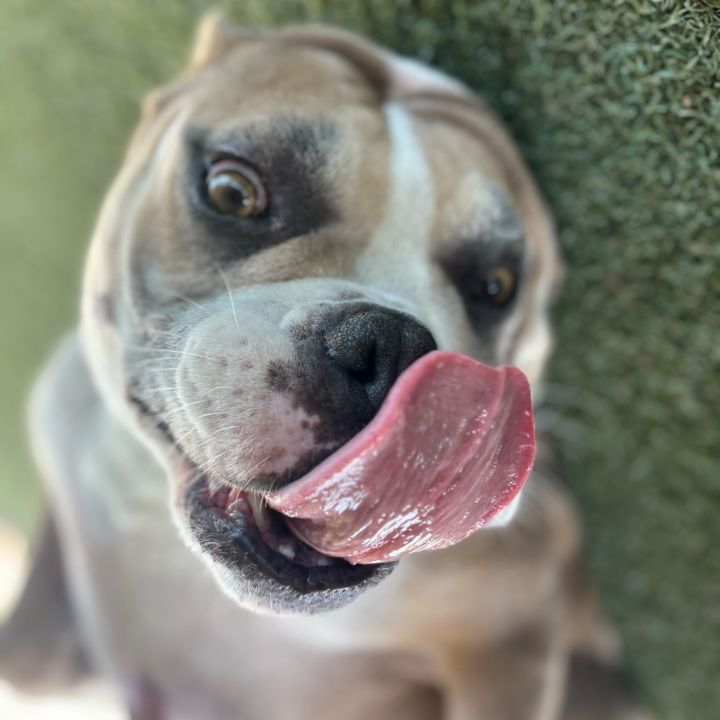 Phoebe 5