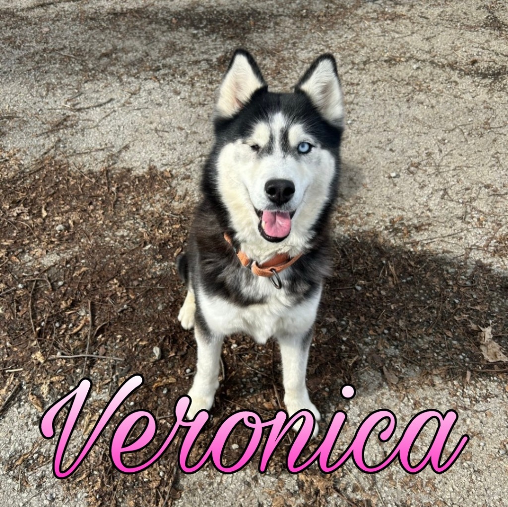 Veronica