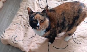 Chloey, Senior Female unknown
