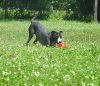 Coco