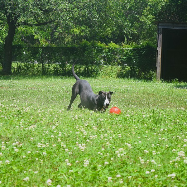 Coco Photo