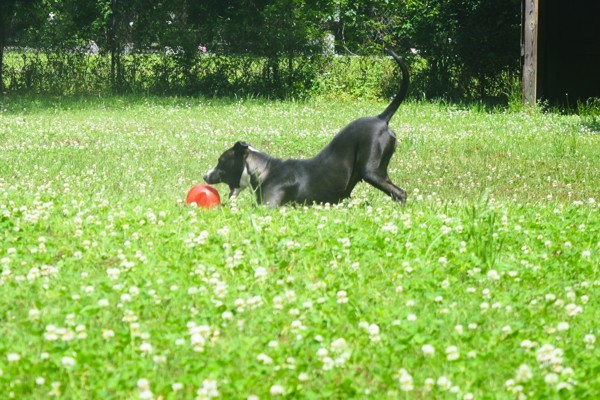 Coco Photo