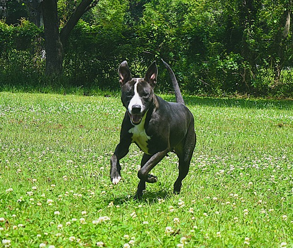 Coco Photo
