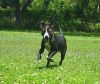 Coco photo 5
