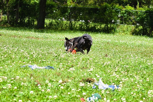 Coco Photo