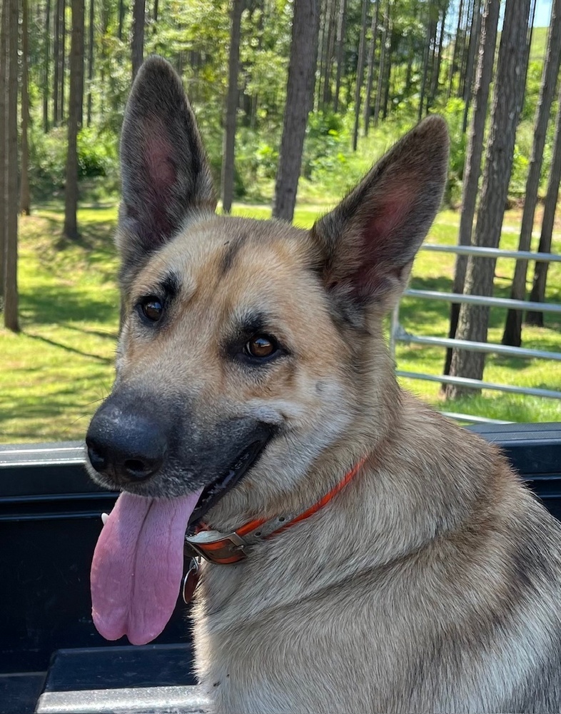 Joshua in ALABAMA