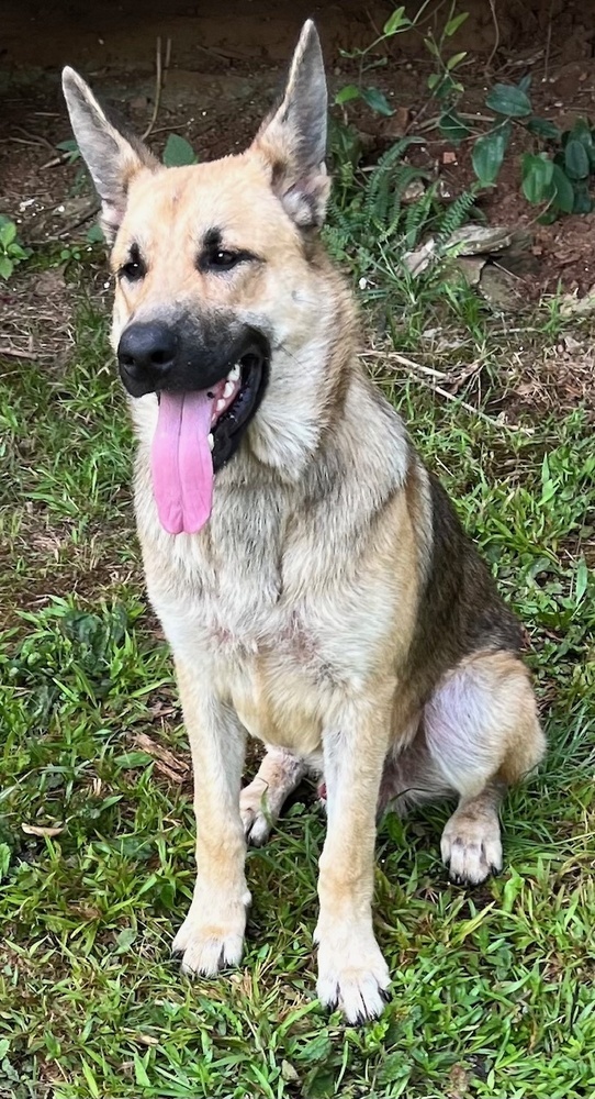 Joshua in ALABAMA
