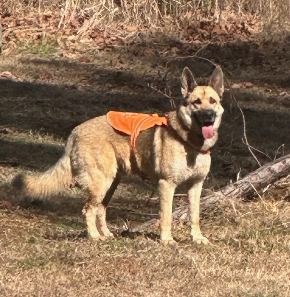 Joshua in ALABAMA