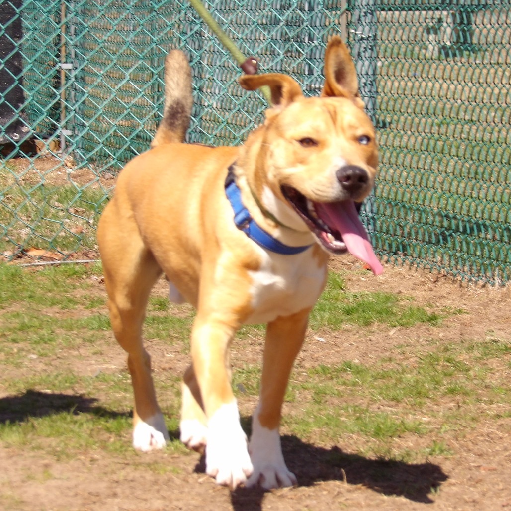 Ruffles (In Foster)