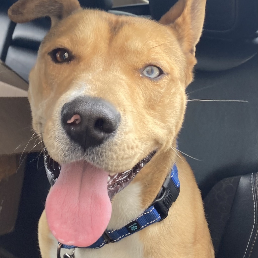 Ruffles (In Foster)