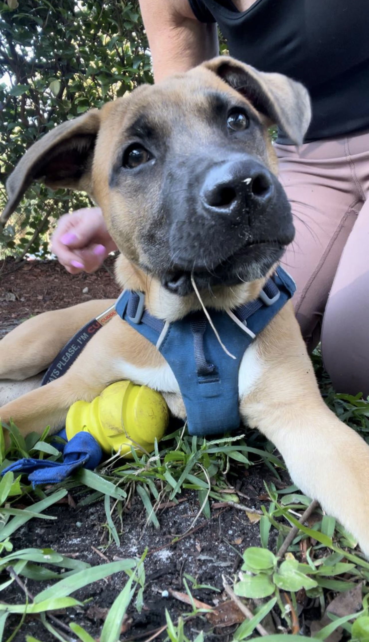 TIAO aka Marley