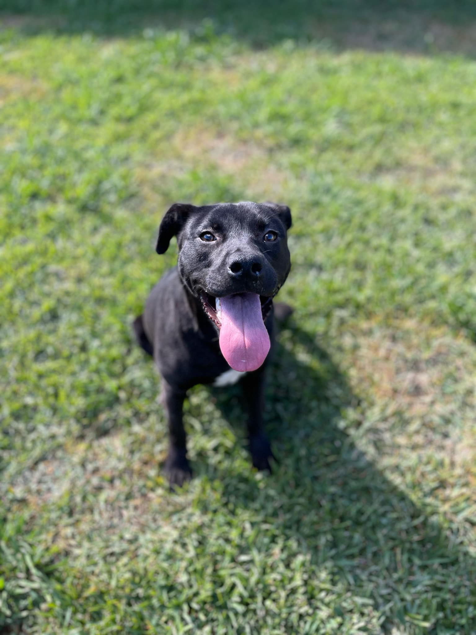 Aspen - A sweet beauty!