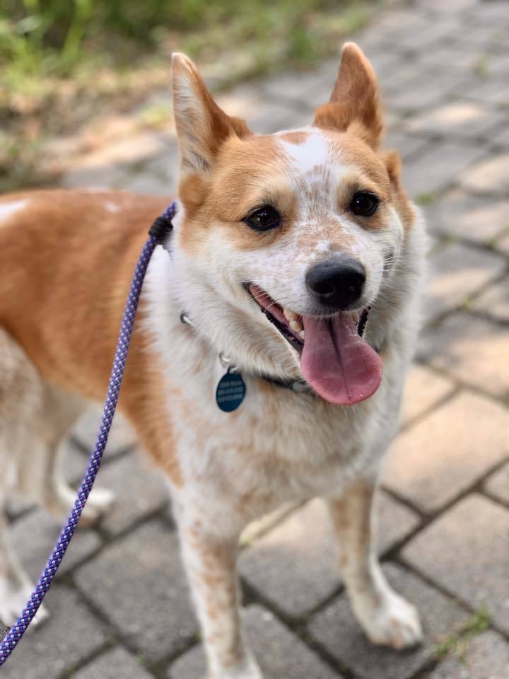Bella