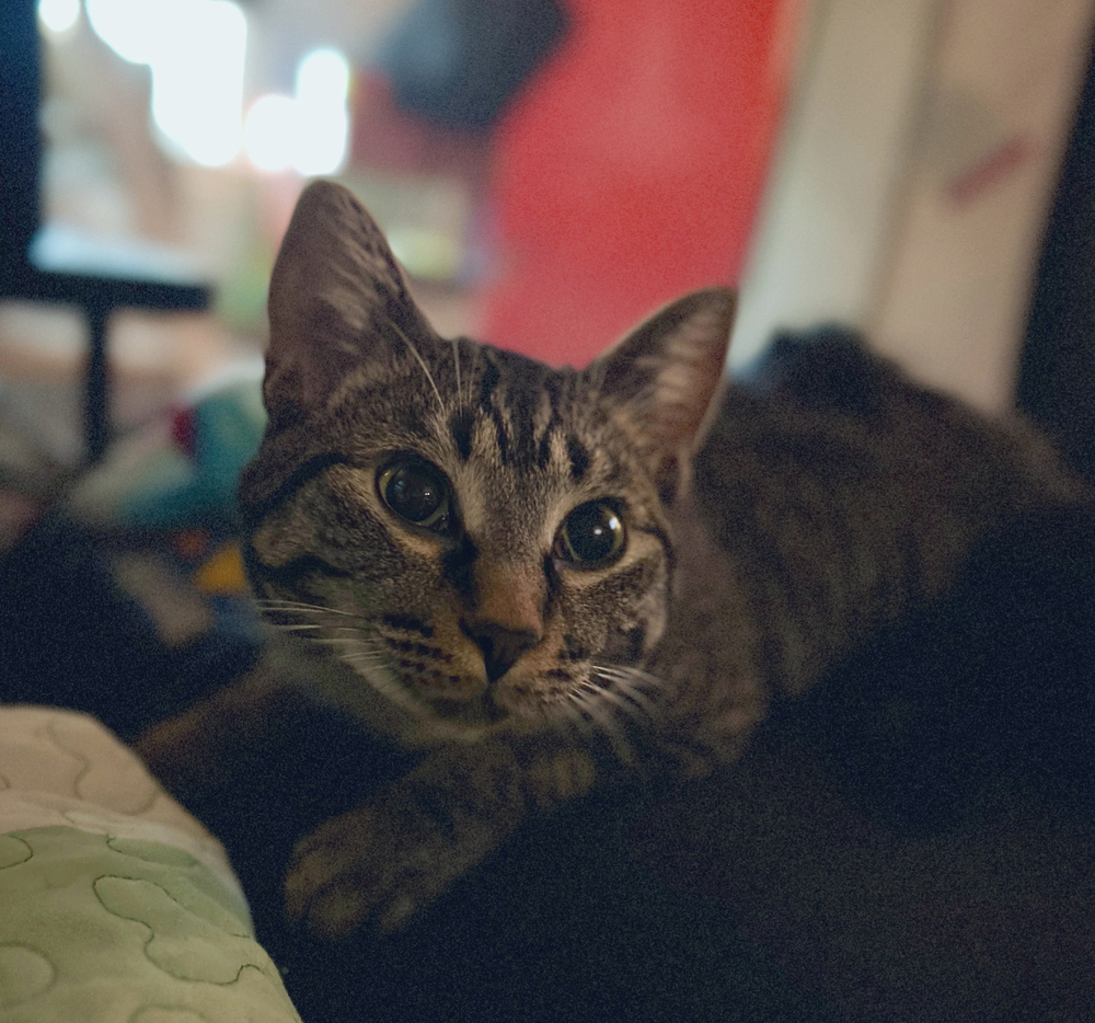 Rita