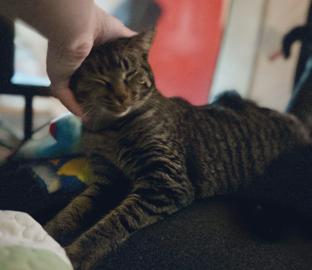 Rita