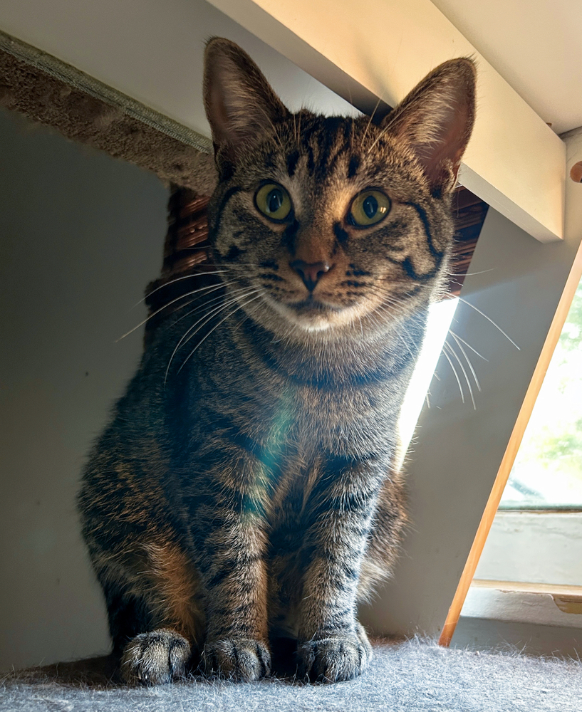 Rita