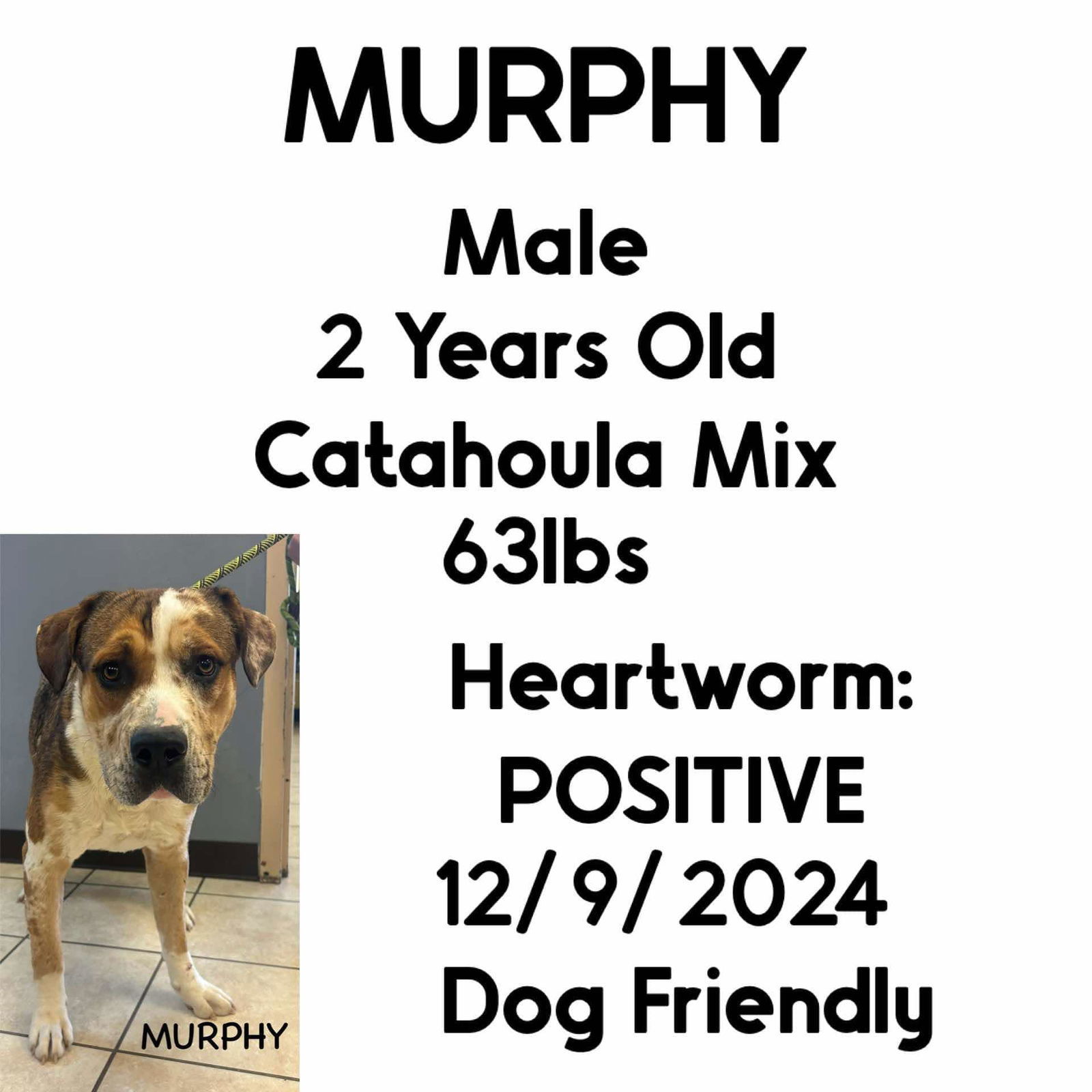 Murphy