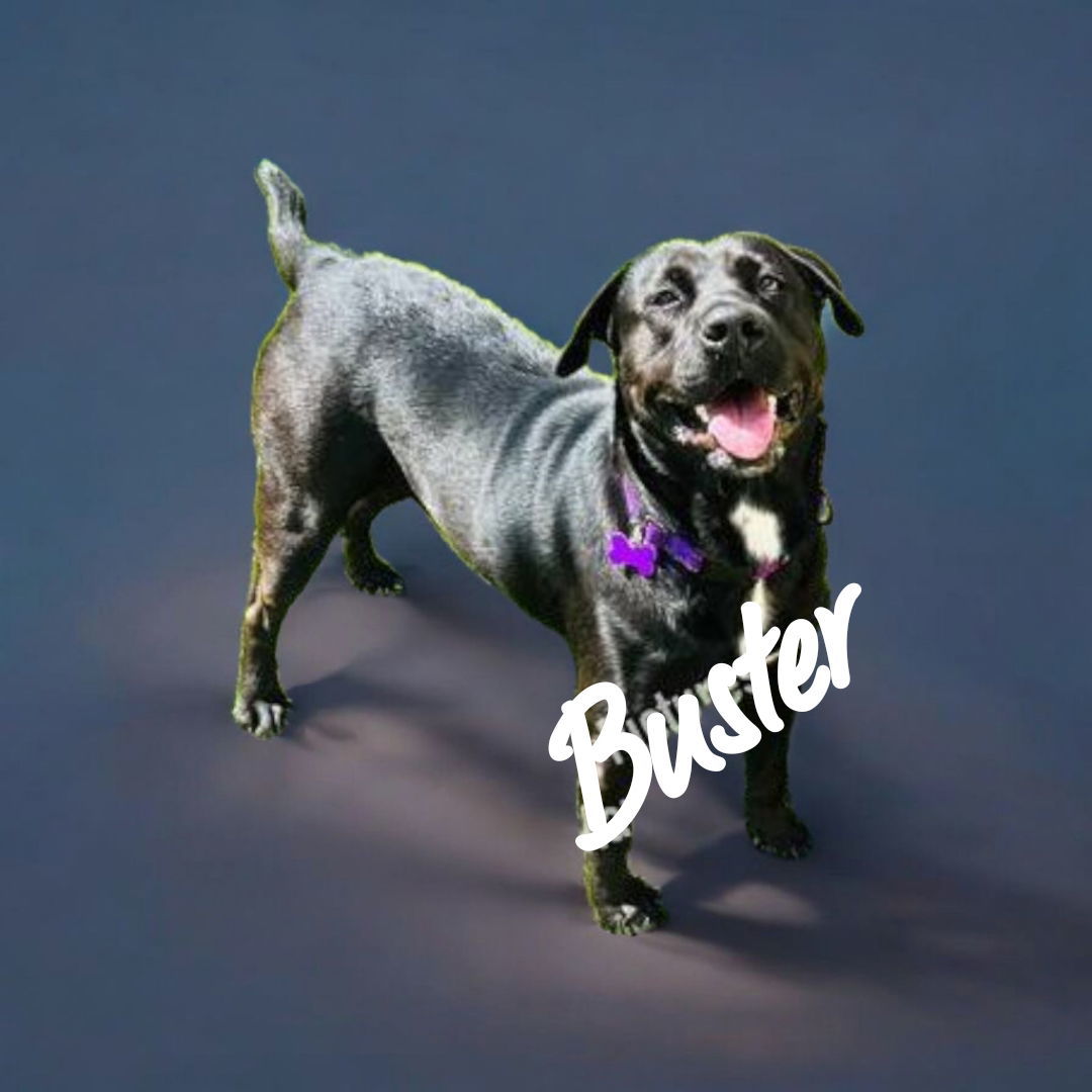 Buster