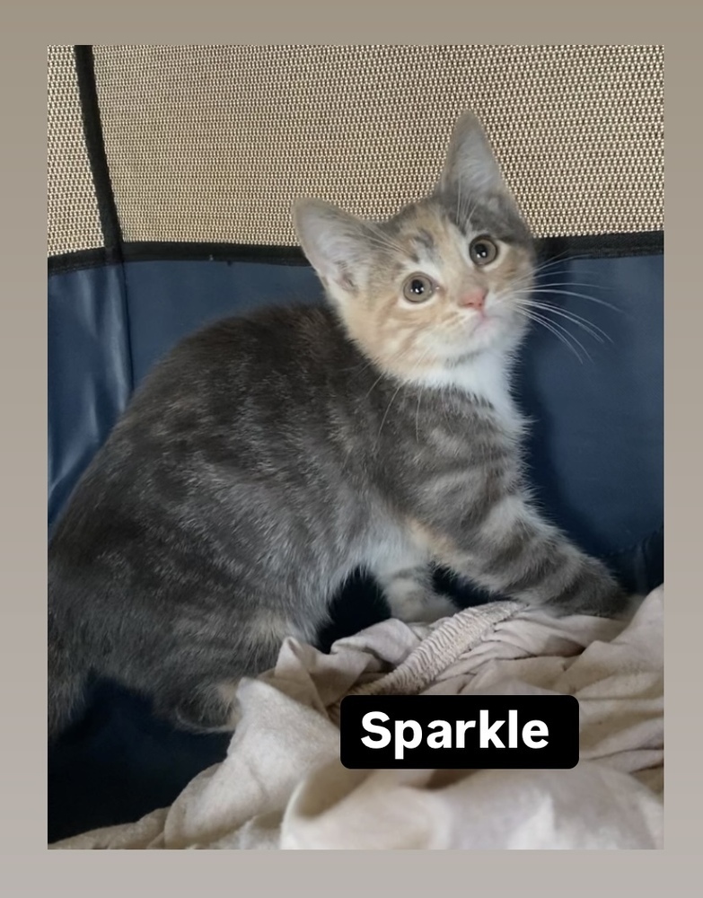 Sparkle