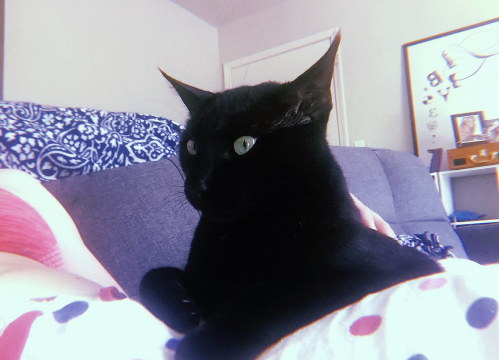 Sabra