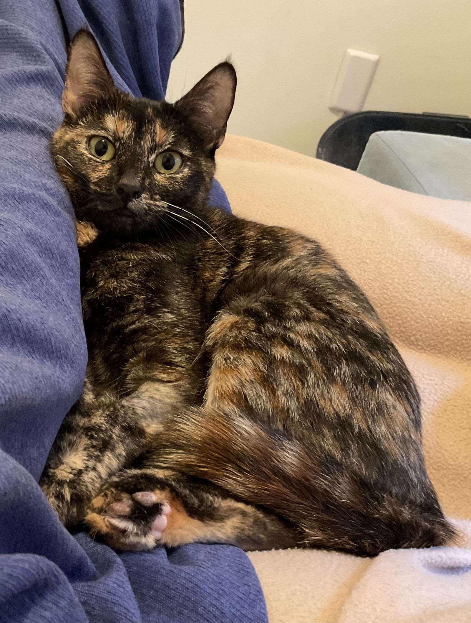 Mia