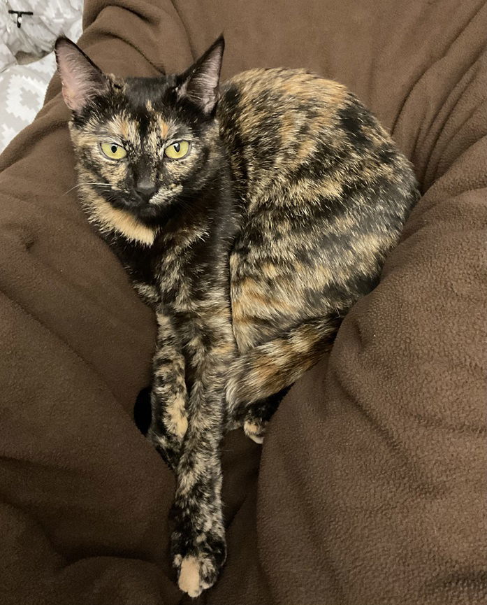 Mia