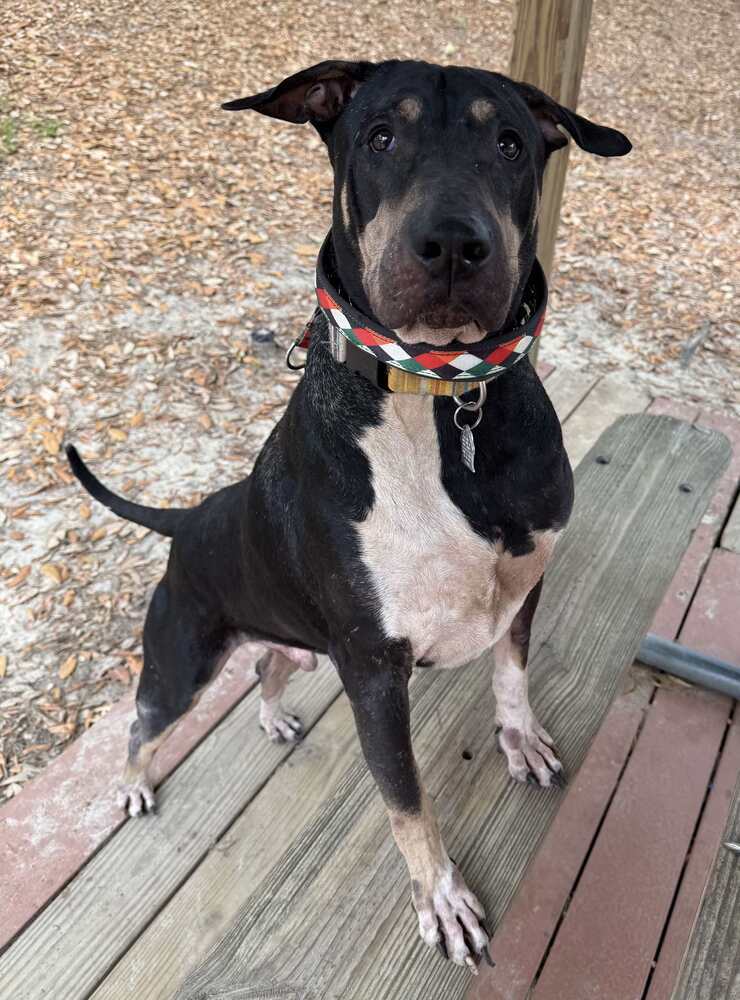 Sam