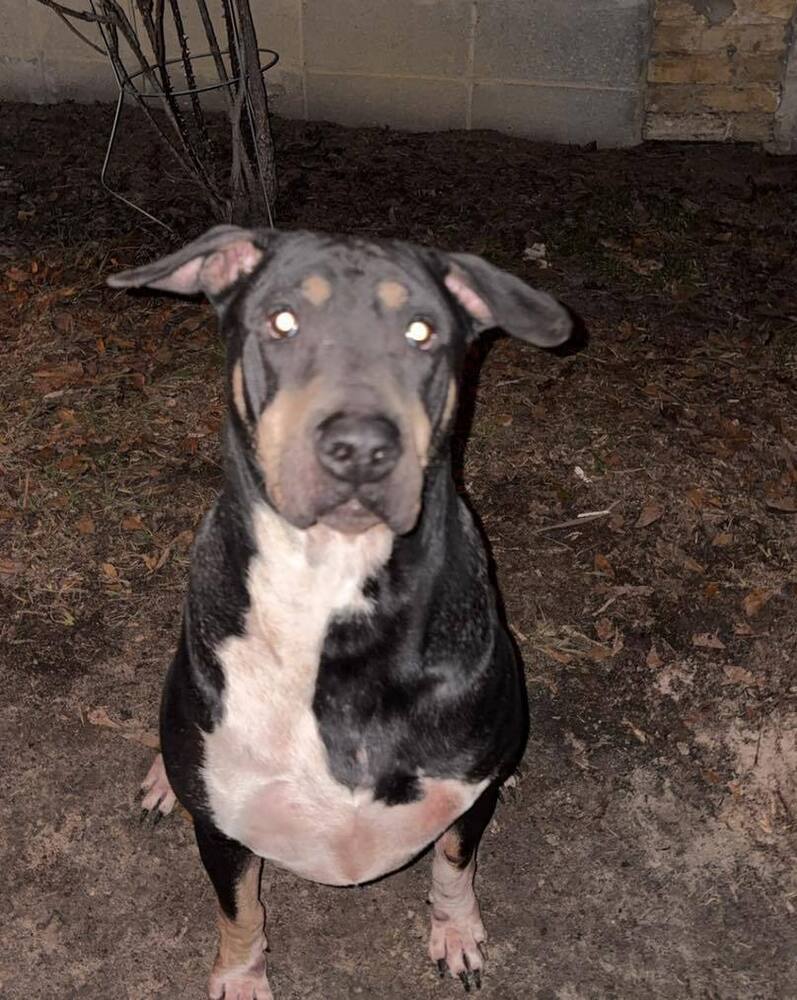Sam