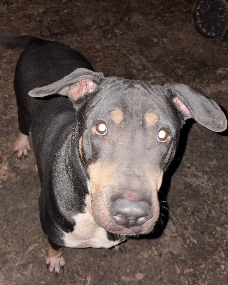 Sam