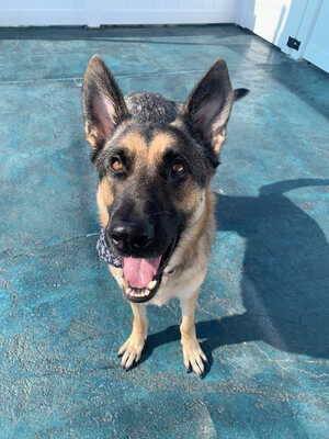 Luke-courtesy