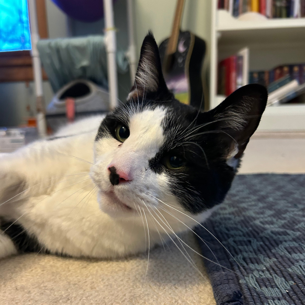 Keith - Bonded to Marty