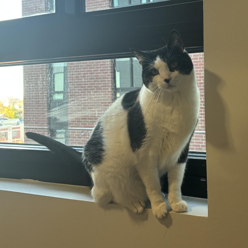 Keith - Bonded to Marty