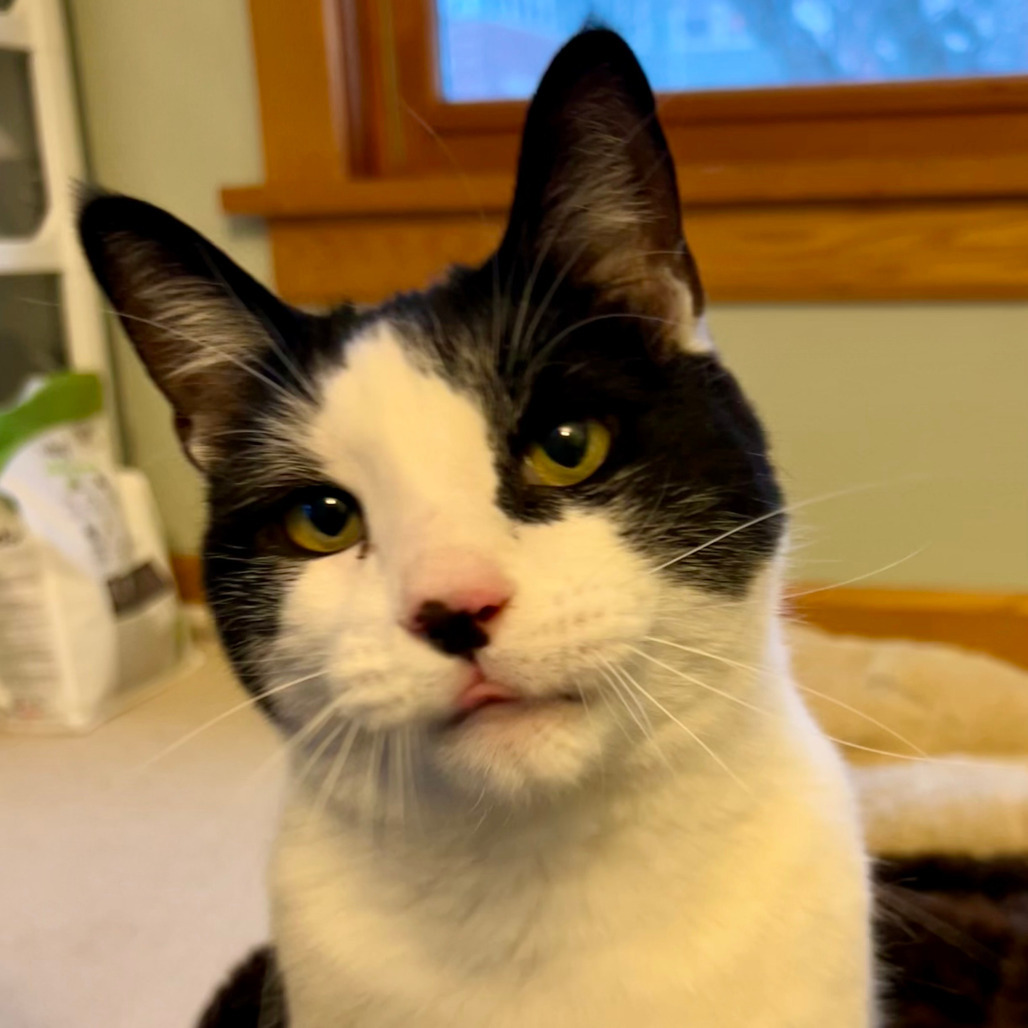 Keith - Bonded to Marty