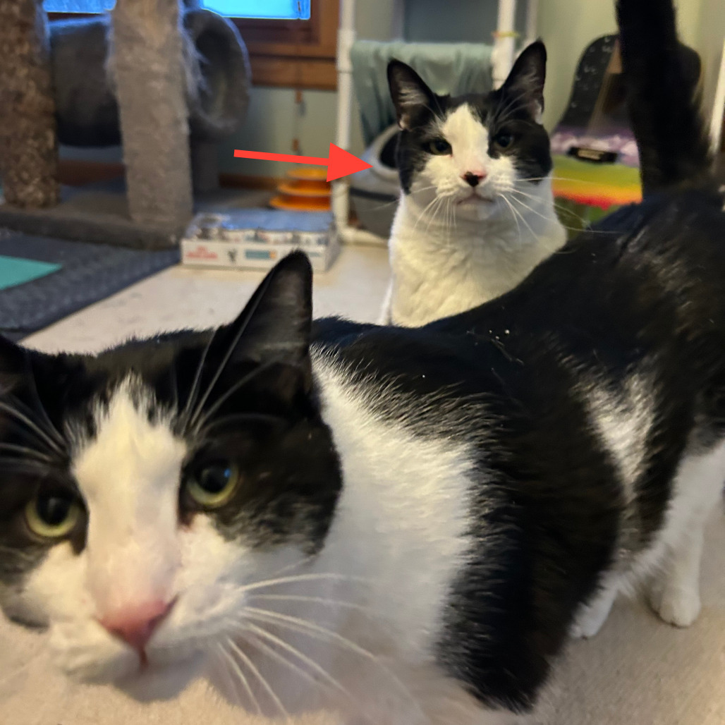 Keith - Bonded to Marty