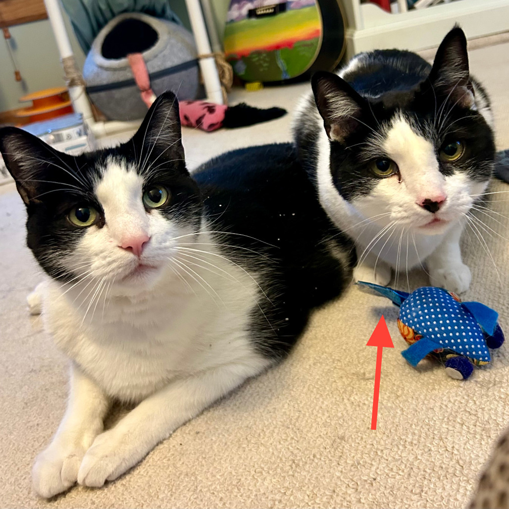 Keith - Bonded to Marty