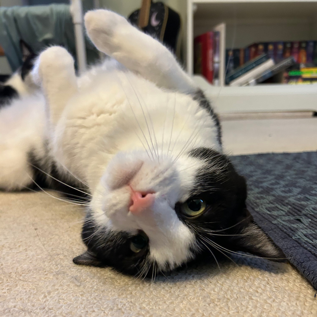 Marty - Bonded to Keith