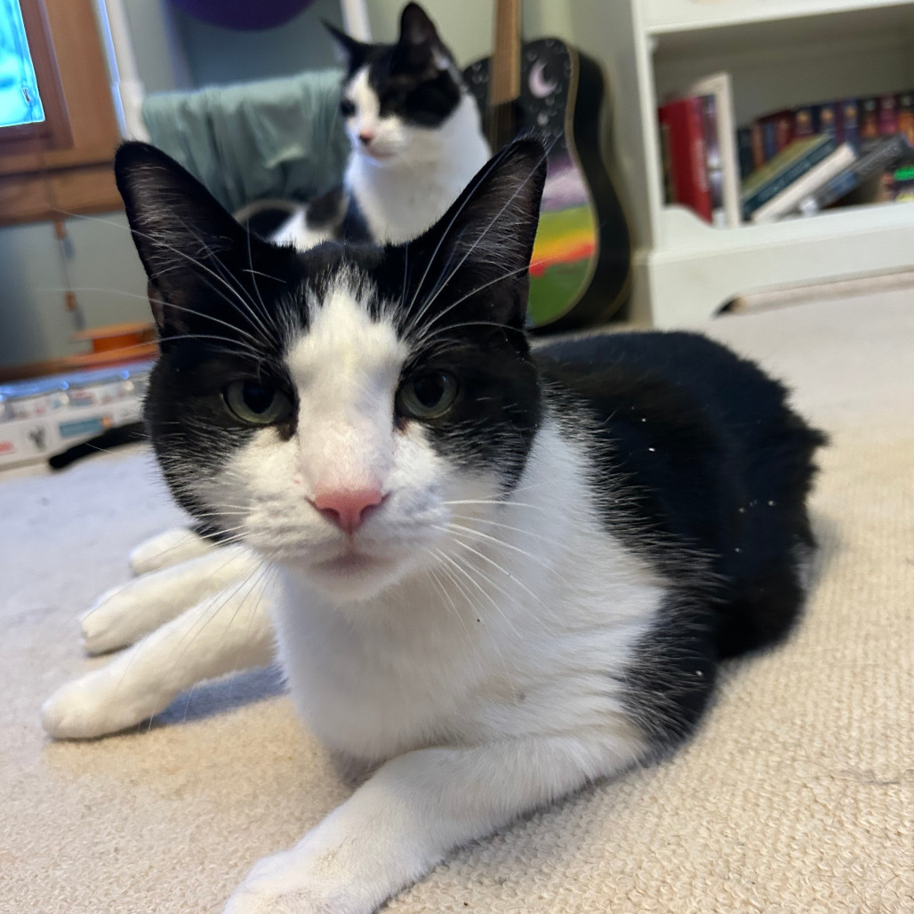 Marty - Bonded to Keith