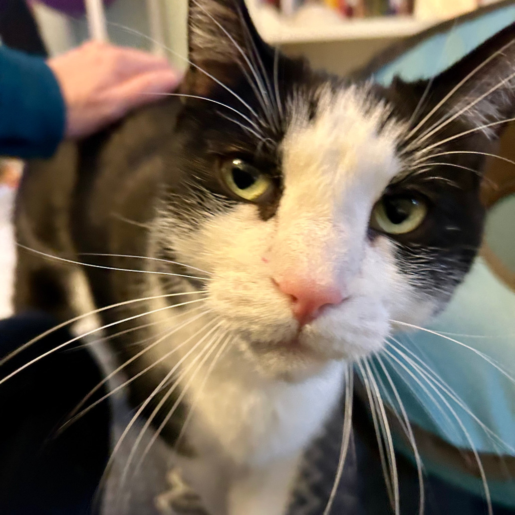 Marty - Bonded to Keith