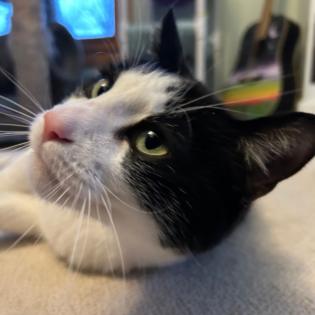 Marty - Bonded to Keith
