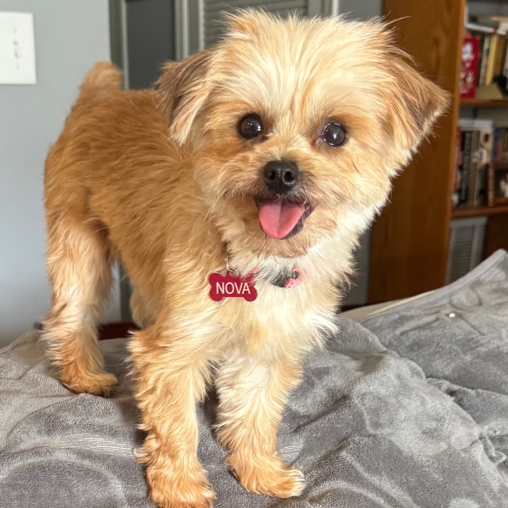 NOVA