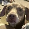 Arlo photo 2