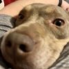 Arlo photo 3