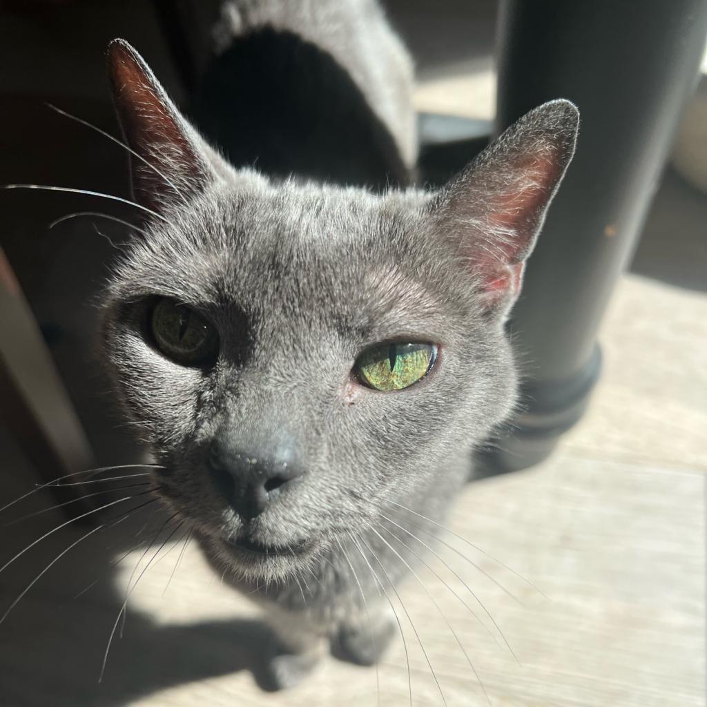 Jasper