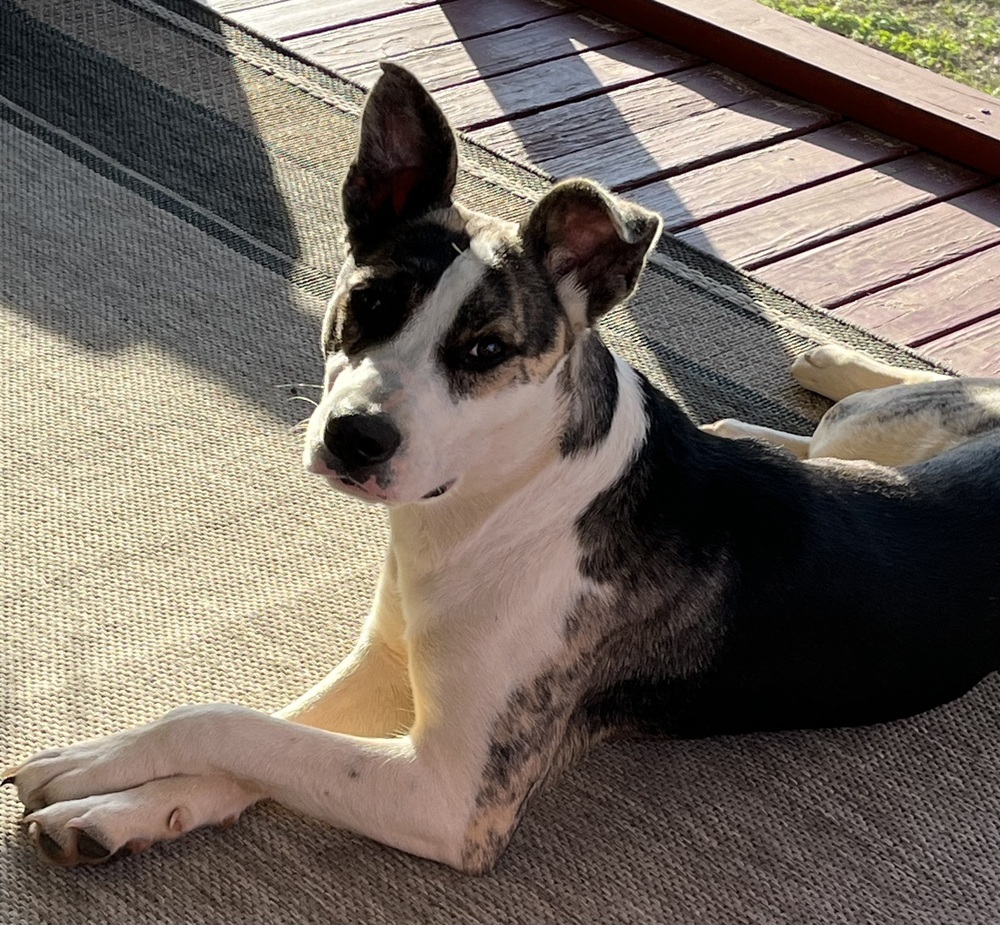 Winnie