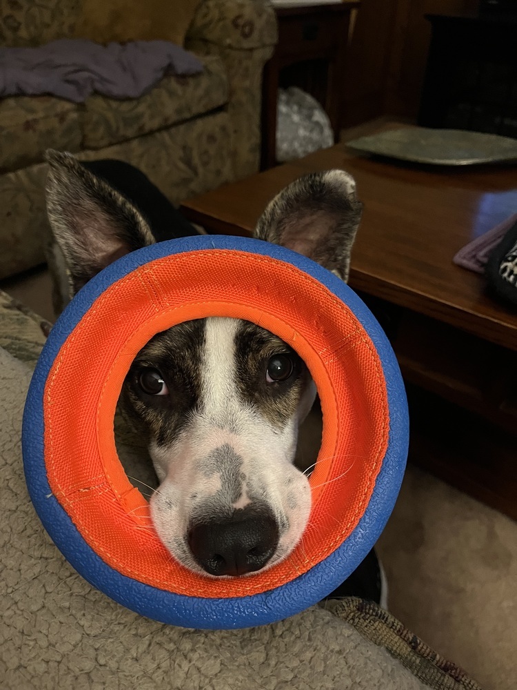 Winnie